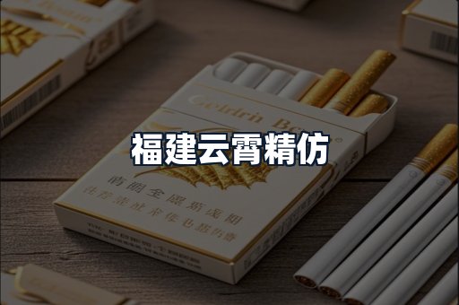 福建云霄精仿